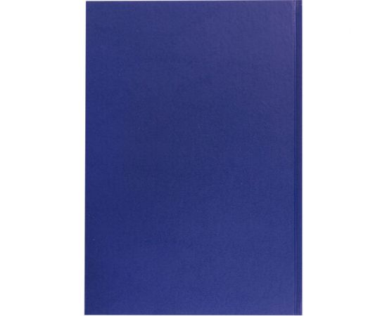 Журнал учёта товарно-материальных ценностей BRAUBERG 96 листов, А4 200х290 мм, бумвинил, офсет, 130255 – изображение 5