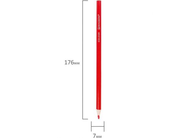 Карандаши цветные 12 шт в упаковке BRAUBERG PREMIUM 12 цветов трехгранные грифель мягкий 33 мм 181651 – изображение 6