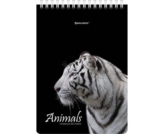 Блокнот BRAUBERG А5, 146x206 мм, 80 л., гребень, картон, жесткая подложка, клетка, Хищники 114385 – изображение 6