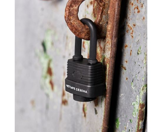 Навесной замок ЧЕТЫРЕ СЕЗОНА ВЗ-30 ДД 79-0123 – изображение 3