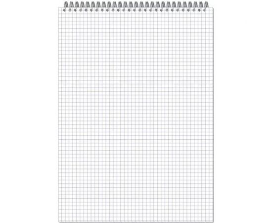 Блокнот Attache А4 40 листов цвет обложки в ассортименте в клетку на спирали, 203x290 мм 503663 – изображение 4