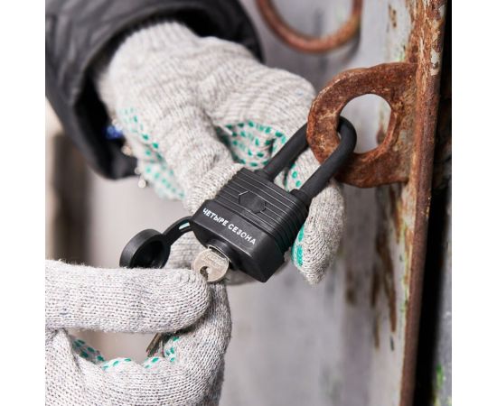 Навесной замок ЧЕТЫРЕ СЕЗОНА ВЗ-30 ДД 79-0123 – изображение 4